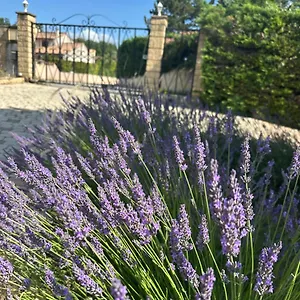 Les Clématites Donzère
